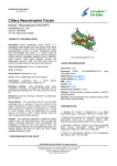 Ciliary Neurotrophic Factor