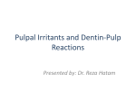 Pulpal Irritants and Dentin