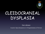 cleidocranial dysplasia