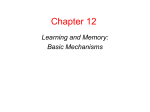 Learning and Memory - University of South Alabama