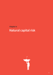Natural capital risk