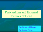 Pericardium and external features of Heart (1)