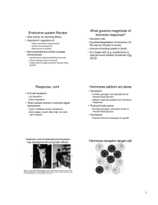 Endocrine system Review What governs magnitude of hormone