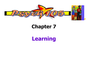 Chapter 7