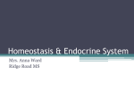 Homeostasis and Endocrine Systems Introduction