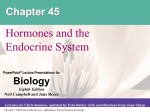 Hormone - ScienceToGo