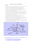 Endocrinology 1a – Hypothalamo-Pituitary Disorders