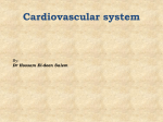 Cardiovascular system