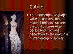 Culture-1
