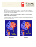 Mitral Stenosis