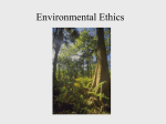 Environmental Ethics