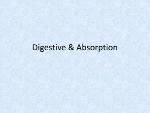 Nutrition03_Digestion_Absorption