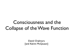 Consciousness and the Collapse of the Wave Function
