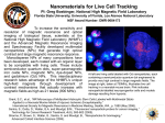 Nanomaterials for Live Cell Tracking (2006