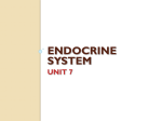 Endocrine Notes PPT