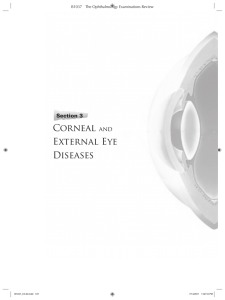 Section 3: Corneal and External Eye Diseases