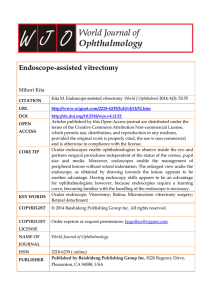 Endoscope-assisted vitrectomy Mihori Kita CITATION Kita M