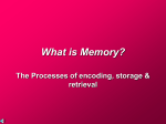 What is Memory?