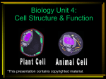 Cells - Kania´s Science Page