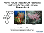 Marine Natural Products with Potential as Treatments for Pancreatic