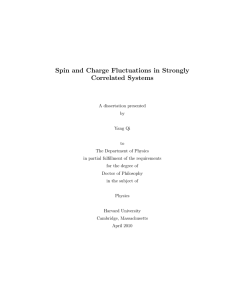 Spin and Charge Fluctuations in Strongly Correlated Systems