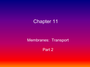 Membrane Transport