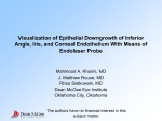 Visualization of Epithelial Downgrowth of Inferior Angle, Iris, and