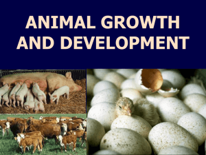 Pre-Natal Growth and Development