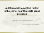 Paper: A differentially amplified motion in the ear for near
