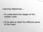 Cardiac Cycle - Kinver High School