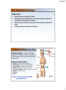 1. Endocrine Glands of the Body