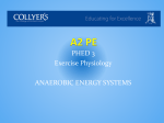 Anaerobic Energy Systems