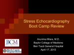 Stress Echocardiography Boot Camp Review