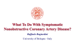 What to do with symptomatic non-obstructive coronary artery disease?