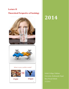 Lecture II Theoretical Perspective of Sociology 2014