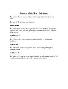 Anatomy of the Heart Definitions