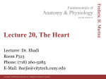 The cardiac cycle - Websupport1