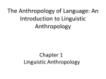 What is linguistic anthropology,