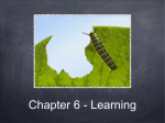 Chapter 6 - learning