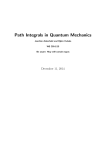 Path Integrals in Quantum Mechanics