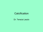 Calcification - Dr. Terezia Laszlo
