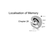 Localisation of Memory