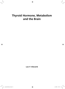 Thyroid Hormone, Metabolism and the Brain