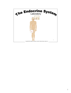 Endocrinology