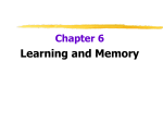 chapter-6-learning-and-memory