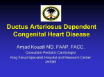 ductus arteriosus dependent congenital heart disease