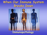 Thymus gland Bone marrow Secondary organs of immune system