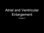 Atrial and Ventricular Enlargement