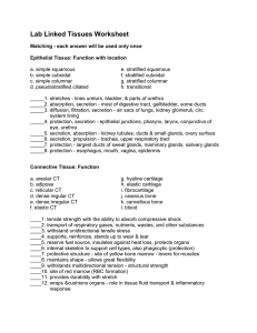 Lab Linked Tissues Worksheet