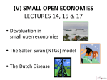 small open economies